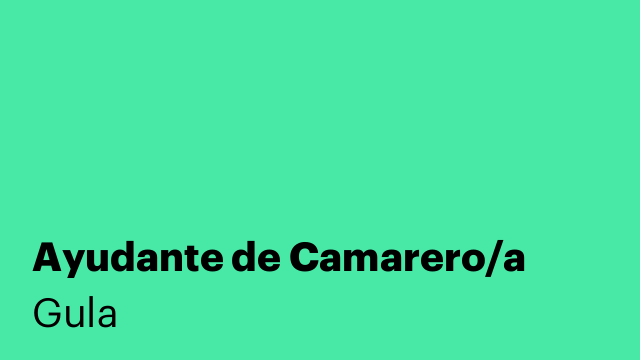 Ayudante de Camarero/a
