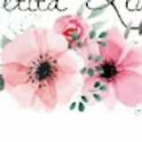 Verónica L. avatar icon