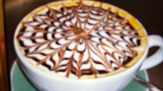 Camarera/Barista