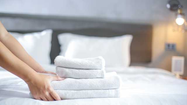 Domestic Cleaner