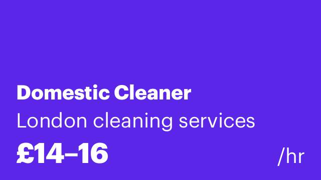 Domestic Cleaner
