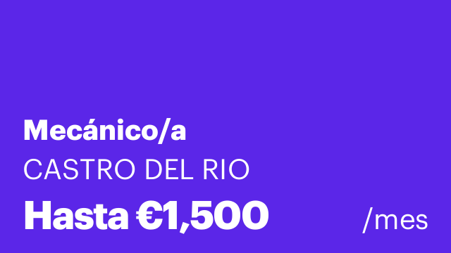 Mecánico/a