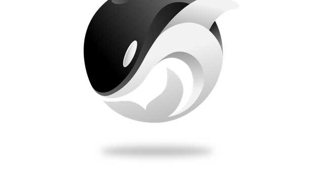 Operations Assistant