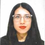 Alison O. avatar icon