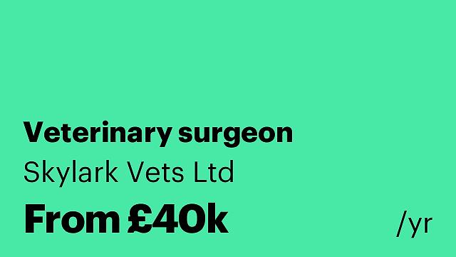 Veterinary surgeon