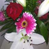 Belen S. avatar icon