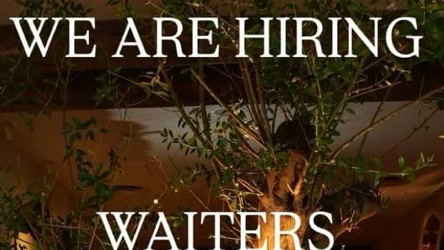 Bartender and Waiter / Waitress