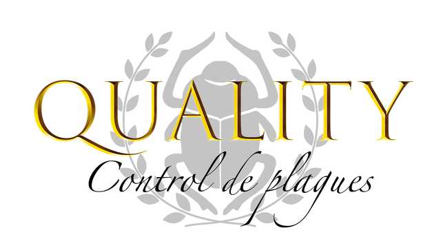 TÉCNICO/A APLICADOR DE CONTROL DE PLAGAS (DDD)