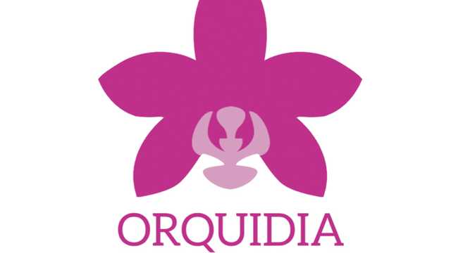 Ayudante/a de Florista