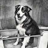 Txapoteando F. avatar icon