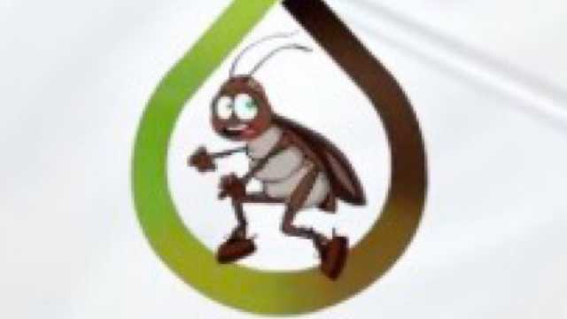 Gestor web , posicionamiento seo