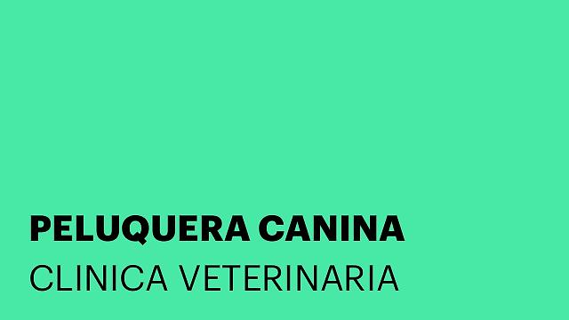 PELUQUERA CANINA