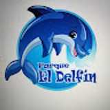 Delfín diversión  avatar icon