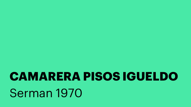 CAMARERA PISOS IGUELDO