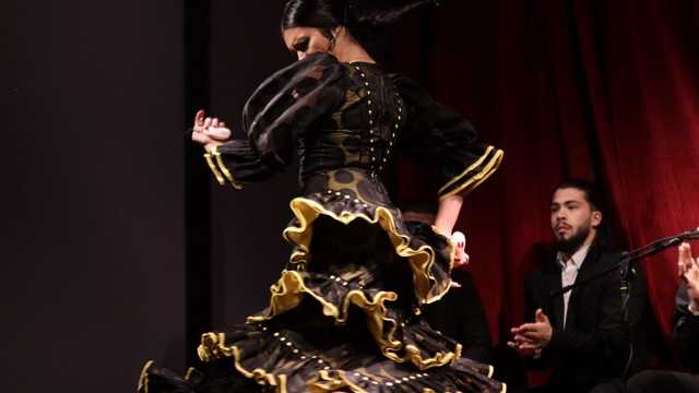 Comercial y Captador/a