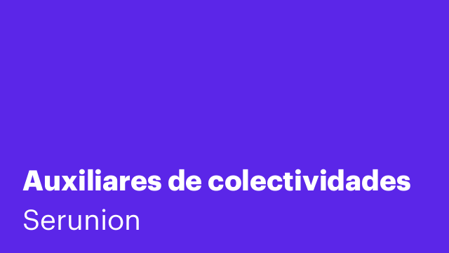 Auxiliares de colectividades