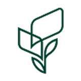 Forest  avatar icon