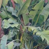 Cristian  C. avatar icon