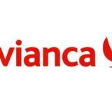 Sandro Martínez q V. avatar icon