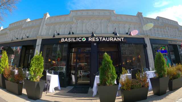 Server / Serveuse, food runner/ busser