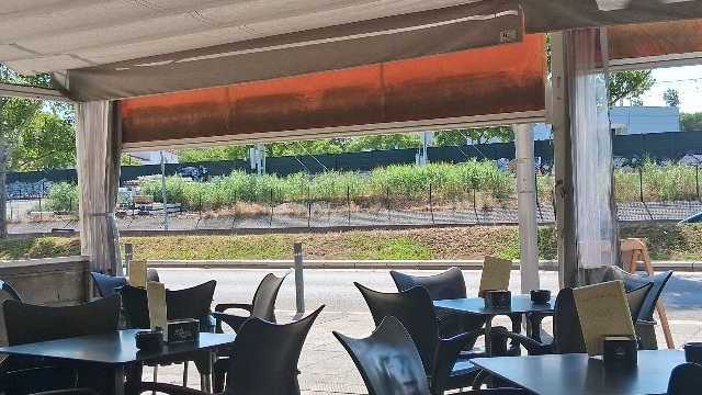 Camarero/a de Sala/Terraza