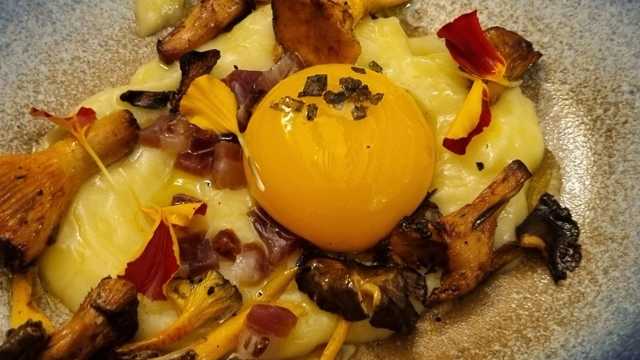 Cocinero o ayudante de cocina