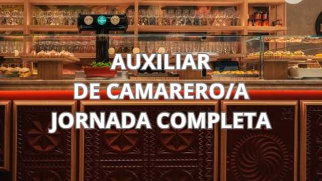 Auxiliar de camarero/a