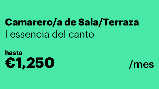 Camarero/a de Sala/Terraza