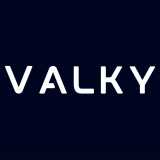VALKY AI logo