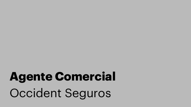 Agente Comercial