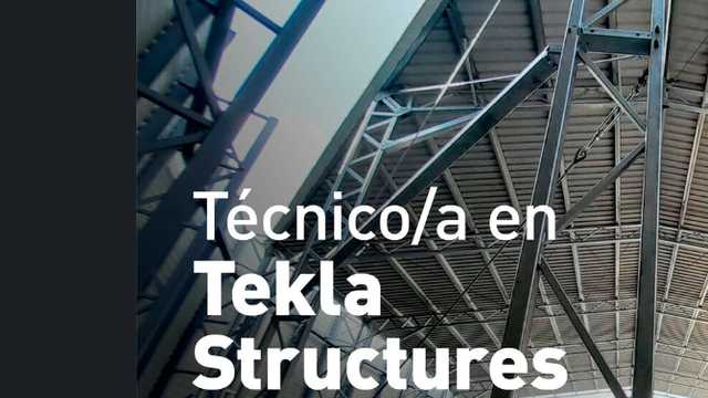 Técnico/a TEKLA