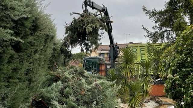 Oficial / Peón de Jardinería con proyección a Responsable