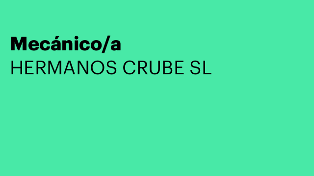 Mecánico/a