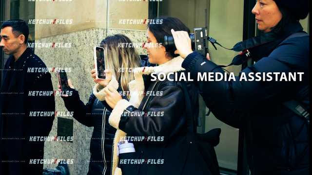 Social Media Assistant