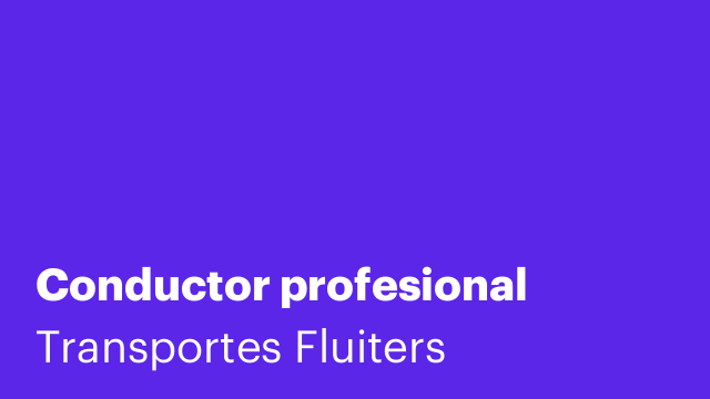Conductor profesional