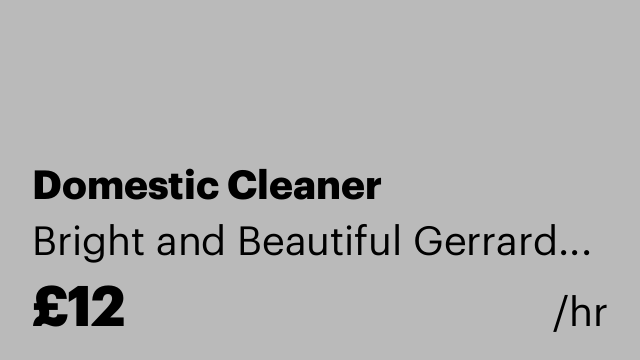 Domestic Cleaner