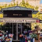 La Violeta Floristería D. avatar icon