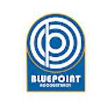Bluepoint A. avatar icon