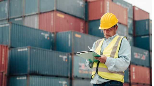 Despachante de aduanas