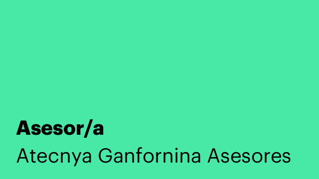 Asesor/a