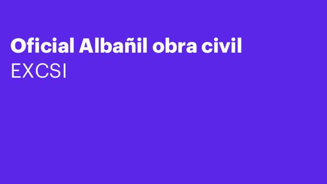 Oficial Albañil obra civil