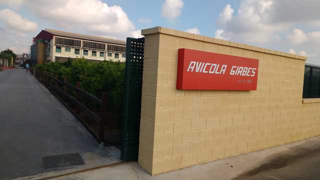 Operario/a de Envasado – Sector Avícola