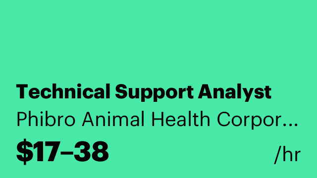 Technical Support Analyst