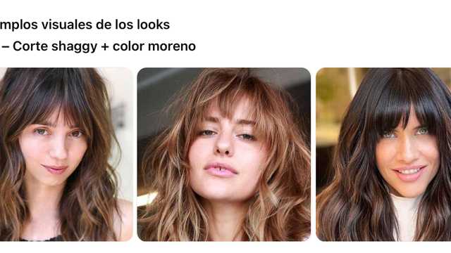 Modelo de Peluquería