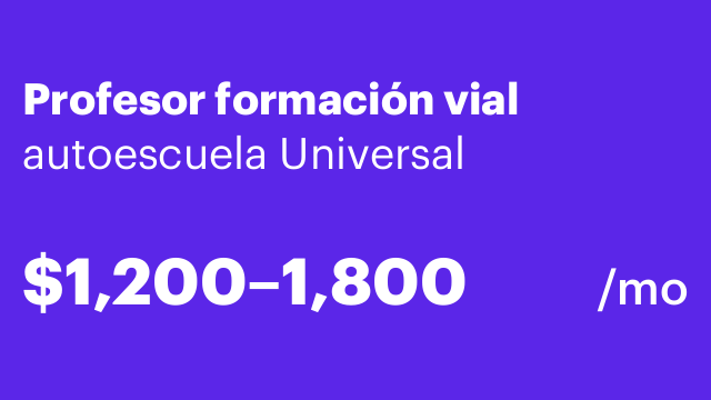 Profesor formación vial