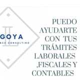 Lngoya consulting logo