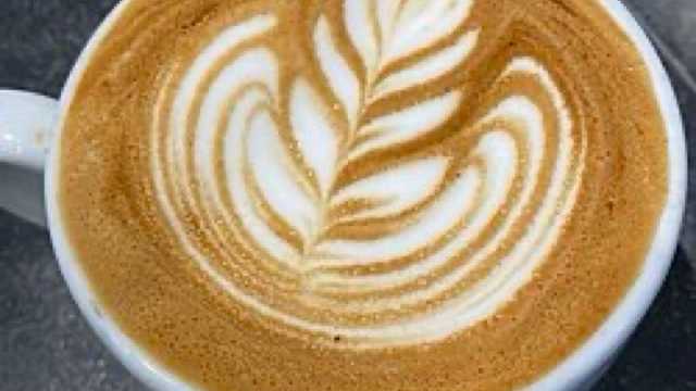 Barista and Waiter / Waitress