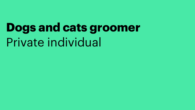 Dogs and cats groomer