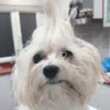 Sergio A. avatar icon