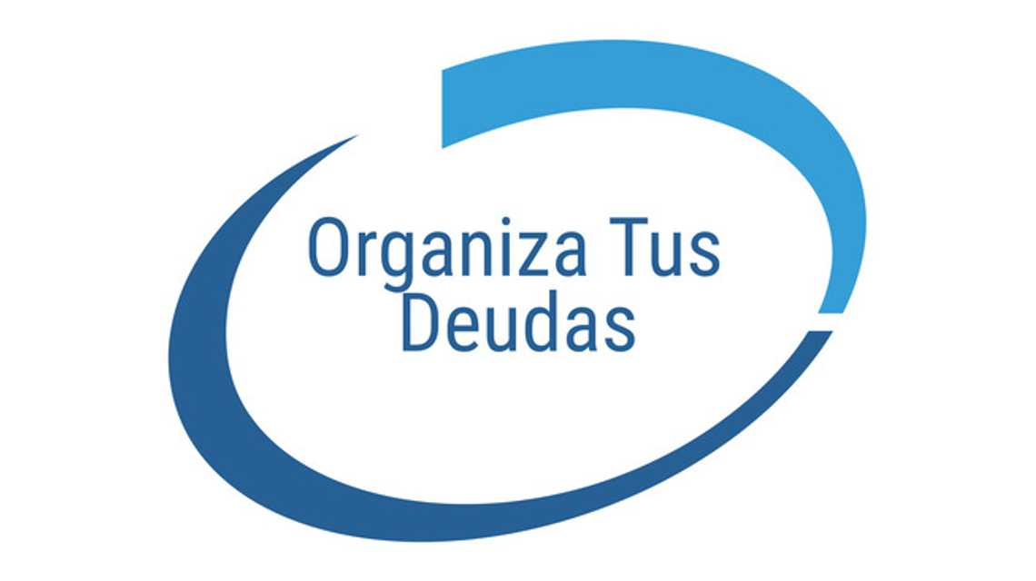 ORGANIZA TUS DEUDAS cover image